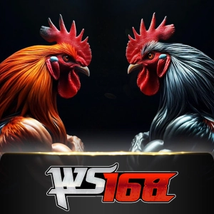 Ws168 Sabung - SPACEMANSLOT88