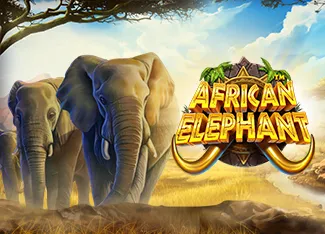 African Elephant - SPACEMANSLOT88